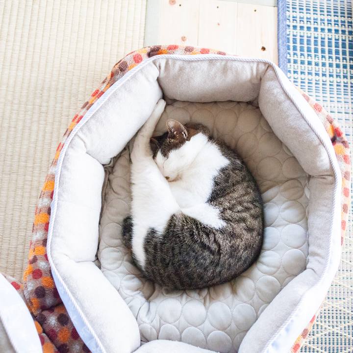 5eb31f62 f82c 43c4 91a1 a76d11f50e1d 1561858763280