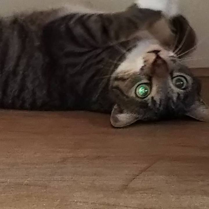 5eb349ca 062a 4f81 a159 d5b56df9fc05 1613291644033