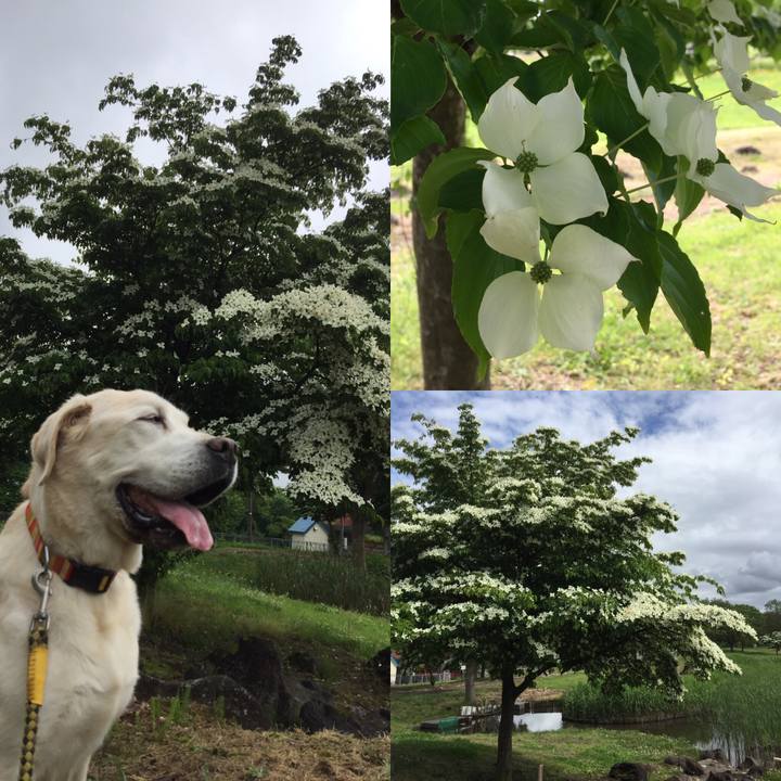 5eb3557e 9861 4adb a7cc 6772631d44d7 1654668786138