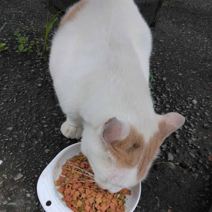 5eb37b37 e149 4e16 82d9 c9d8c8ea279c 1721178399675