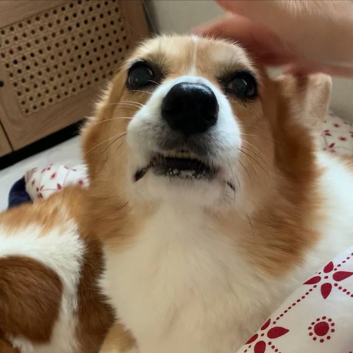 5eb39202 cc00 4a0a 935c d34c6768a6a9 1699407785482