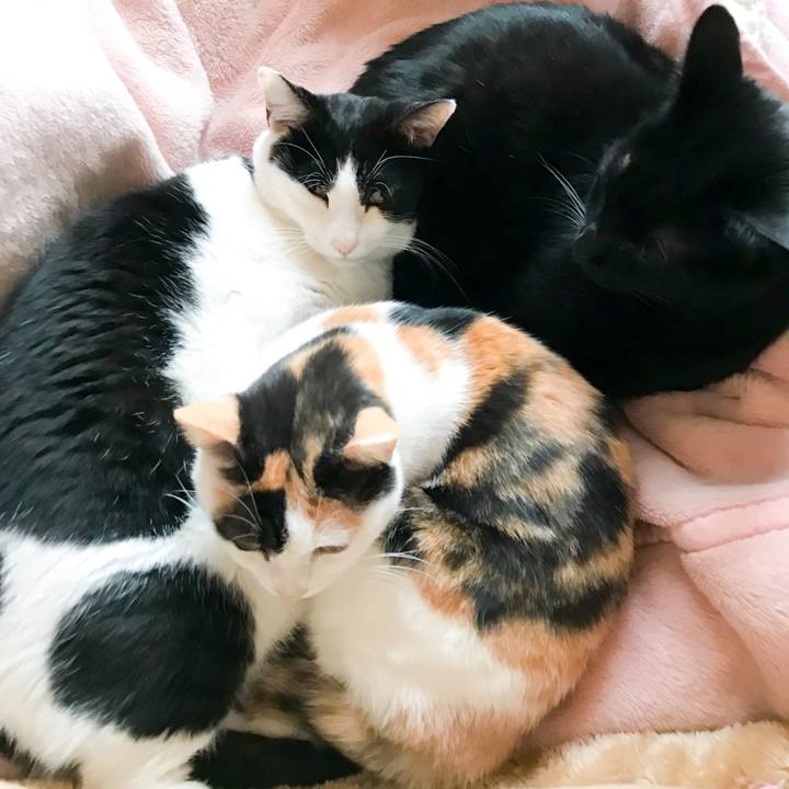 5eb3c50a 867a 4623 9d1b 63fa758fbb20 1513415845140