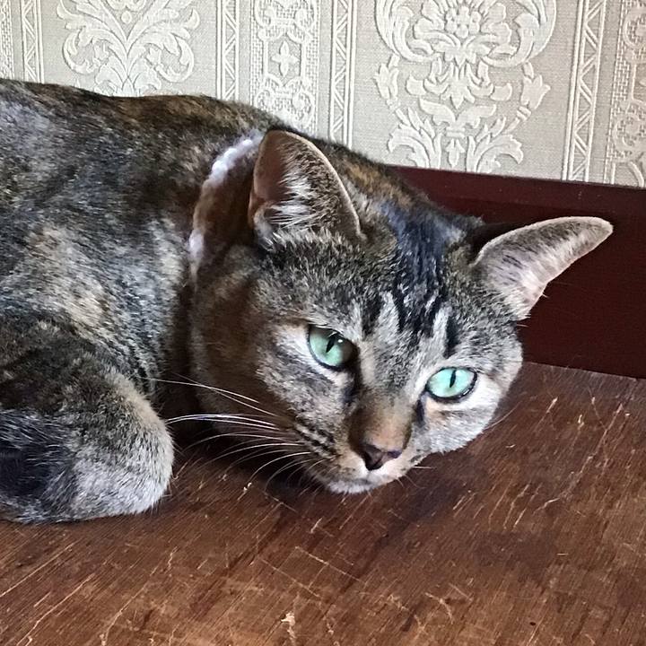 5eb3d21c cf9e 492a 952a 9e4f420b4e3b 1664188296300