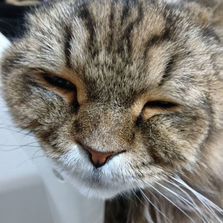 5eb3ef09 327f 484b b317 0d0b1d911c77 1766791845578