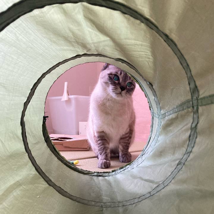 5eb3f8cb cb30 4c3c ad39 c72aa2f73bf7 1611535705887