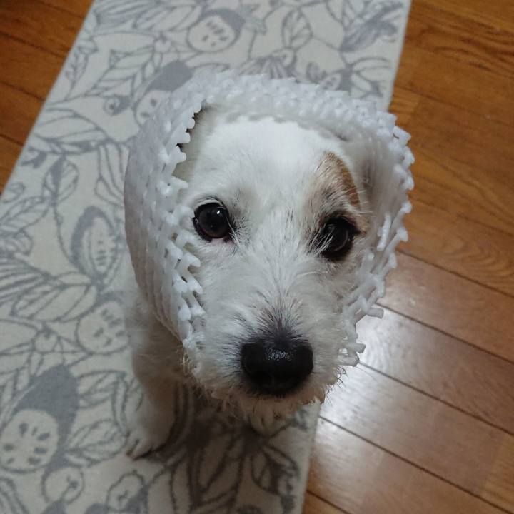 5eb435fd fb10 43c7 926c 5cdd833e7d47 1532389963900