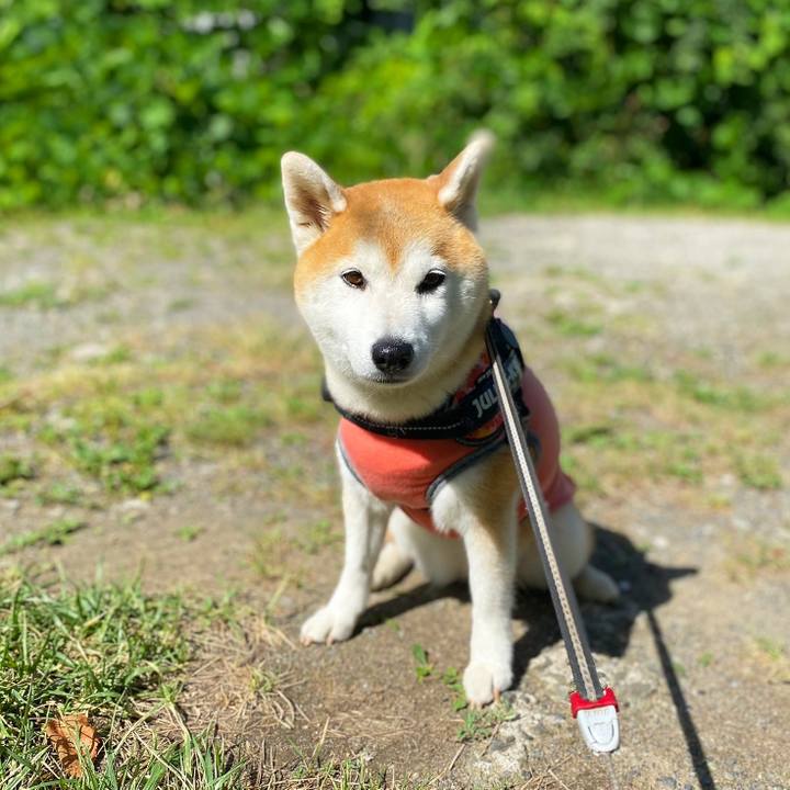 5eb4408d ec00 4542 8a1f f7d7ca041738 1690861758650