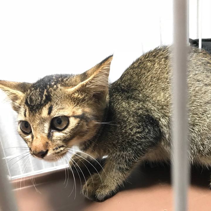 5eb45b01 1288 4bd5 aa63 ff74b03057eb 1531755582463