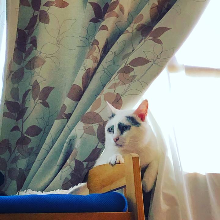 5eb475aa 6d42 47ab b963 74c34ad7c3de 1566433134278