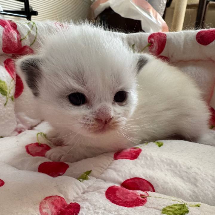 5eb48599 e21d 4fd1 9f8b 17b47495c222 1763539411808