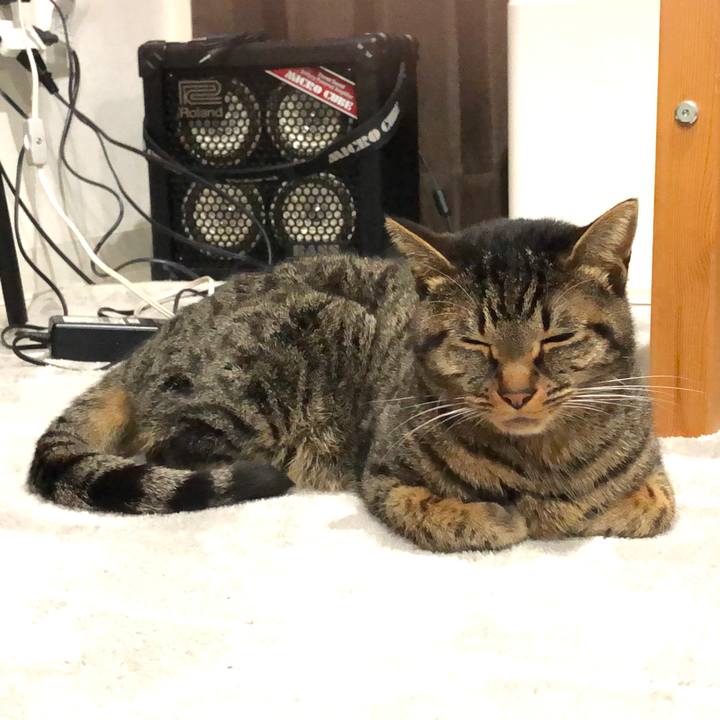 5eb4ae54 4bad 4542 99e4 ec089c34e53e 1545504621729