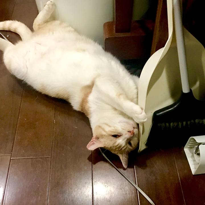 5eb4d379 0e66 4f00 90c7 2651b40e5440 1529762260049