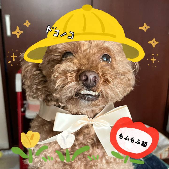 5eb4dafb 937c 43e0 8f94 665f52605c5e 1712311973404