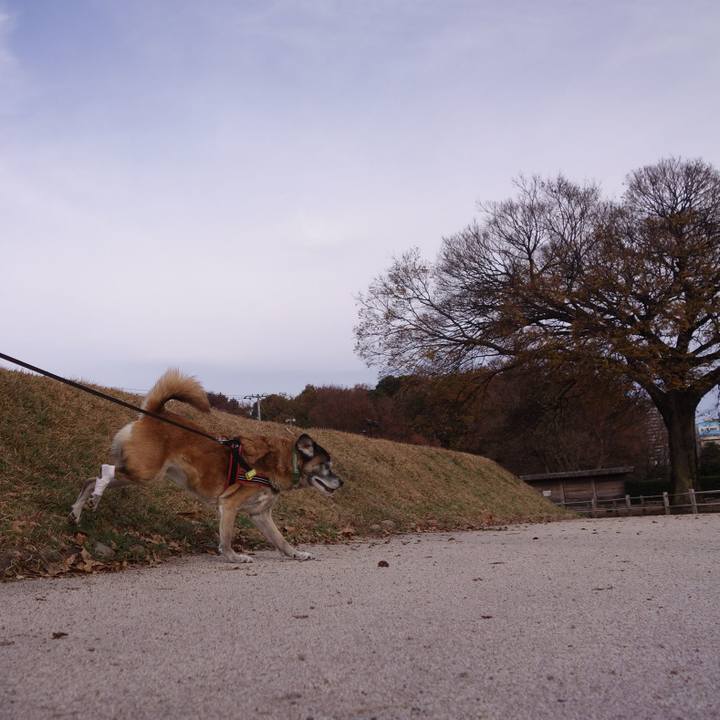 5eb4e6b4 e29d 40bd 8917 b7c4fbf84ab6 1544320875033