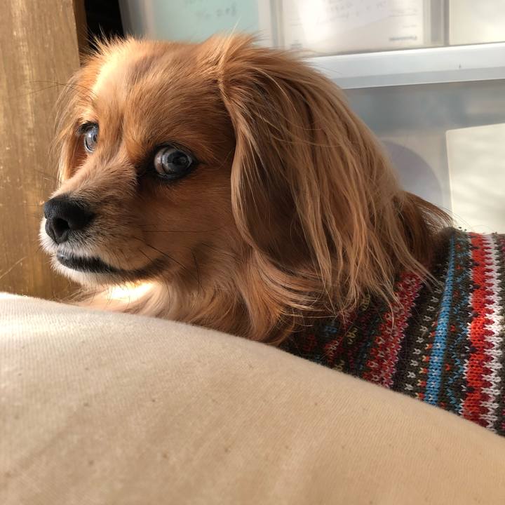 5eb50f94 8181 432e b392 6ea96127a5a1 1550964118650