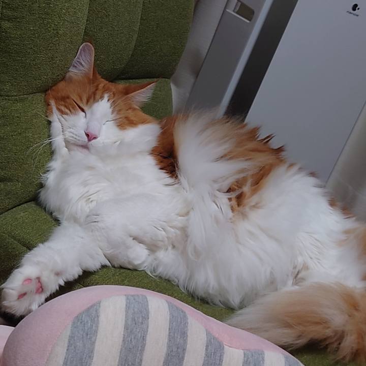 5eb561a6 42e6 449c 9c22 36e46f30e57c 1604019911280