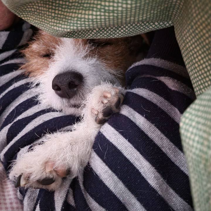 5eb57d28 78ed 4a71 9eac 9fb566d5955a 1647739571945