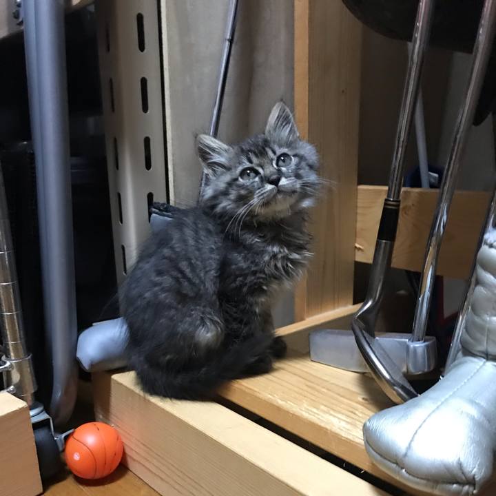 5eb595c6 0a8d 4a1a 9945 32c455093bfd 1572927156102