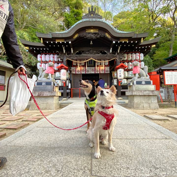 5eb5b2a4 ae8b 46e0 a861 9bc0407a9b4d 1650154970883