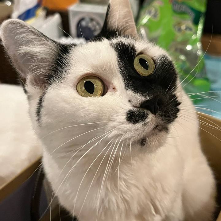 5eb5b8a9 c721 4db8 82cc f398a132a750 1766441776487