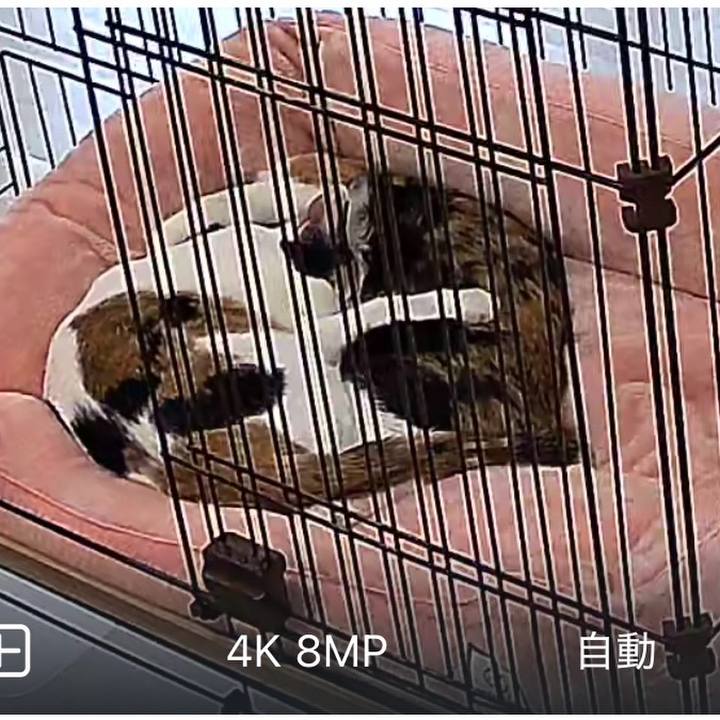 5eb5b98e 8643 43ad 9952 7b30e8510f93 1773026078348