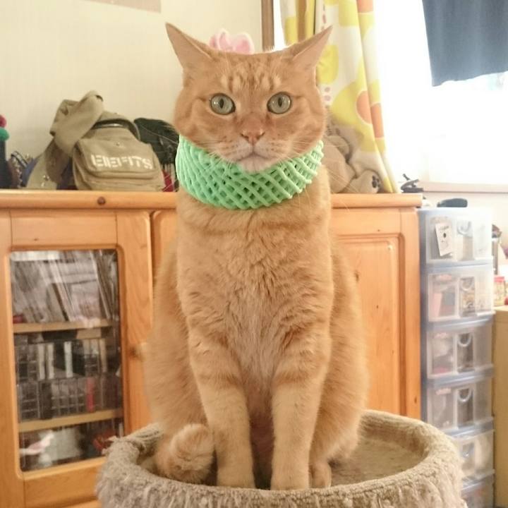 5eb5e440 721e 47c2 8d74 630f6527075b 1536557898625