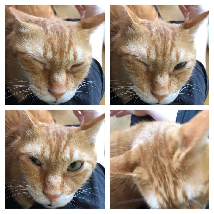 5eb5f66c f388 4275 8fb3 107a29619b4b 1692140114096