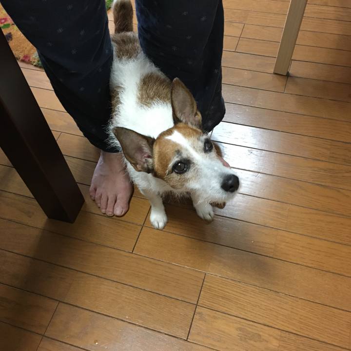 5eb625f9 2f59 4747 8170 d5f969ce0750 1592172059032