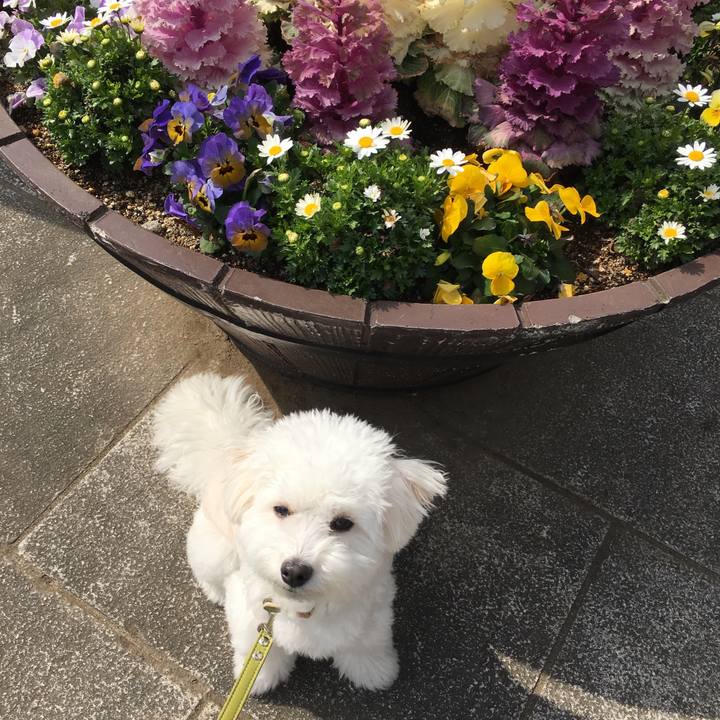 5eb62d21 8b42 44d7 b1d5 ce7c403ec948 1521118774640