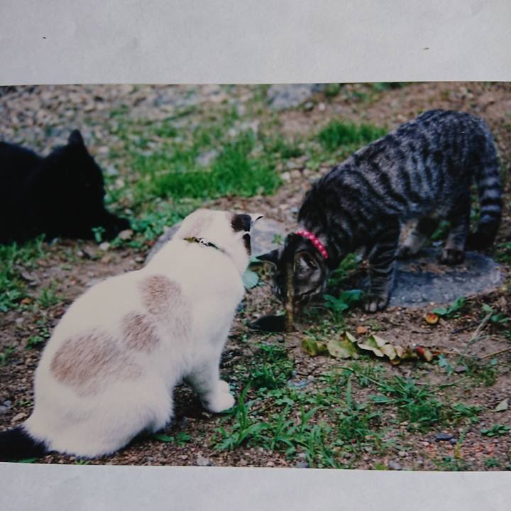 5eb62e52 db5c 4b46 9076 f9a6d50dc5df 1600804634131