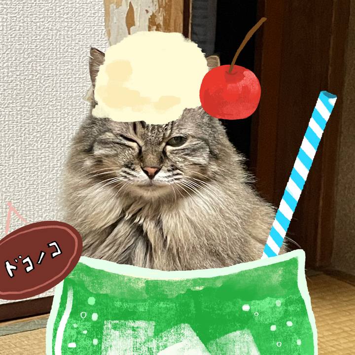 5eb6524e 4336 48c4 a61e e34310e7bdde 1755093049803