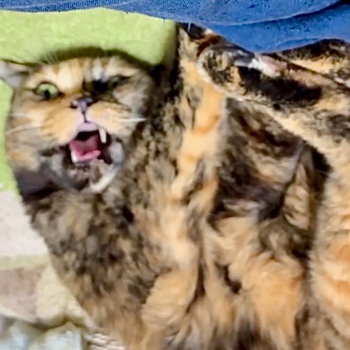 5eb6c062 4eb3 47bf 9398 5c9873032e6c 1760960007342