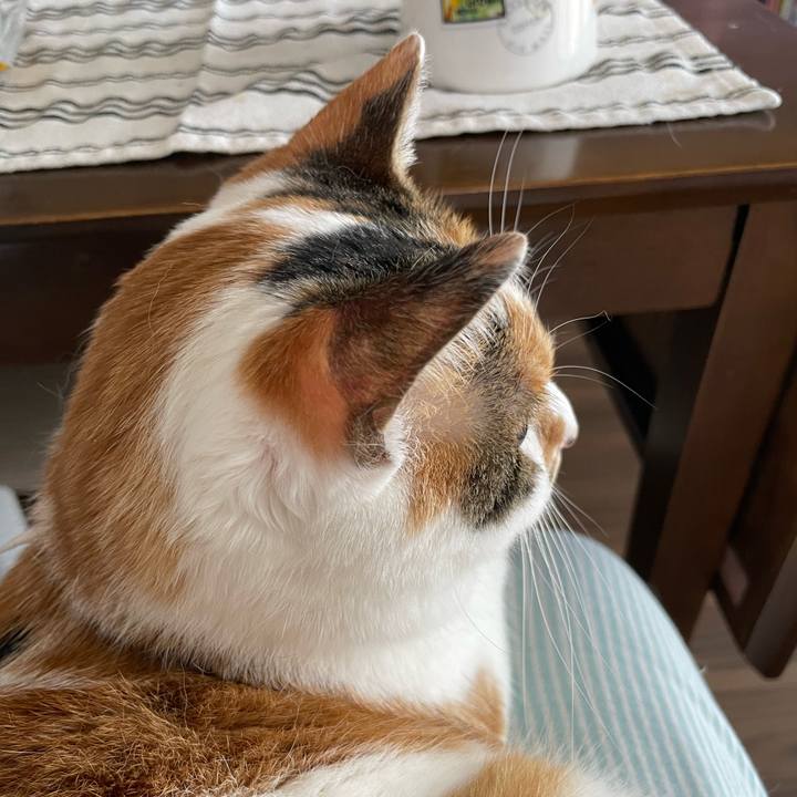 5eb6e0c7 ed2f 46de bbbe 675d9a1feba9 1650598197537