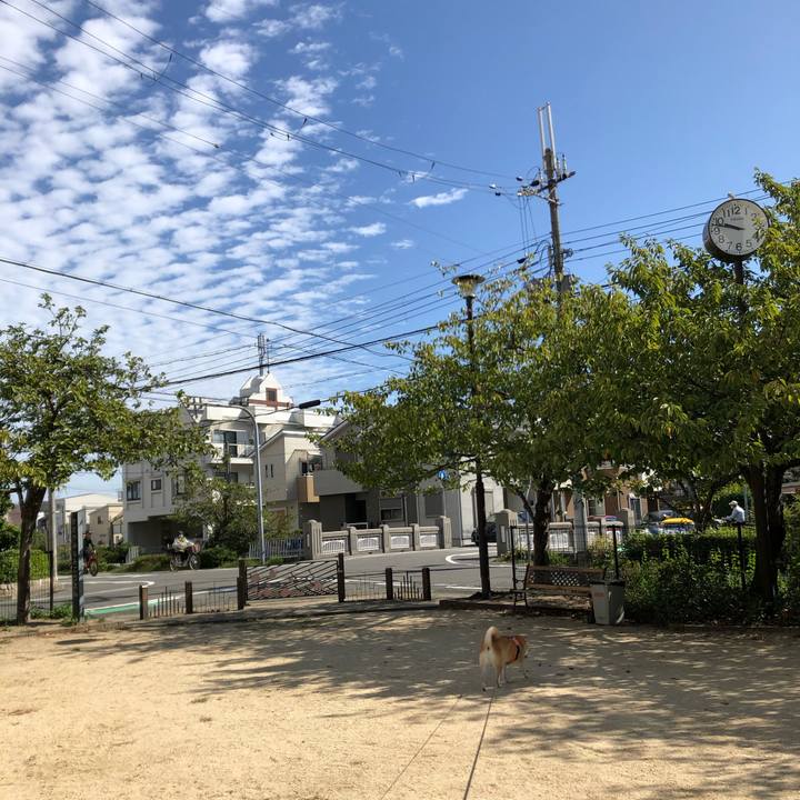 5eb70154 2618 481f a0c8 ad997d69c891 1602039605214