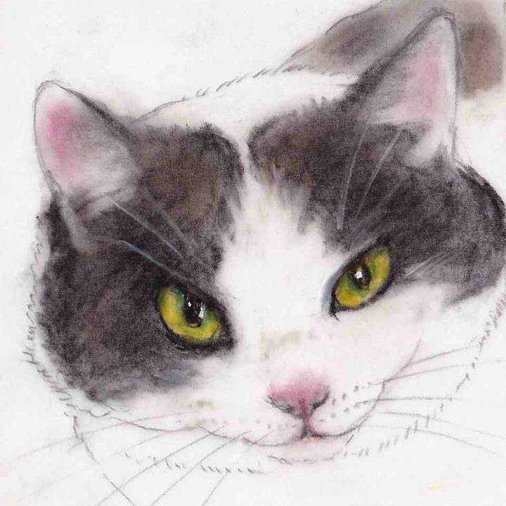 5eb70a27 1396 478b 8a98 ed4df3a31208 1655945378943