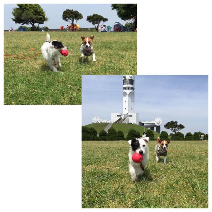 5eb71892 cdea 4eeb 9206 f5ad27994d00 1651974978308