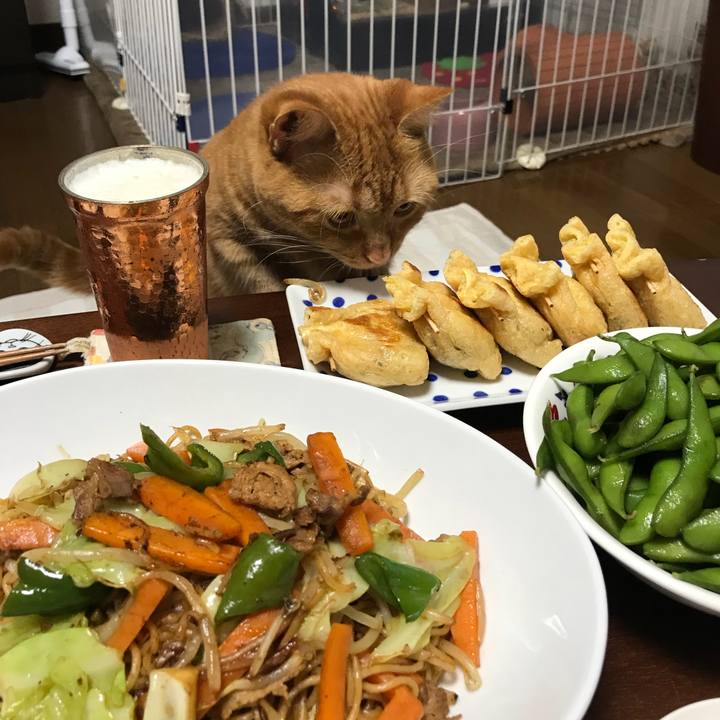 5eb7399d d719 4dfc 992c a17642b61453 1534937239668