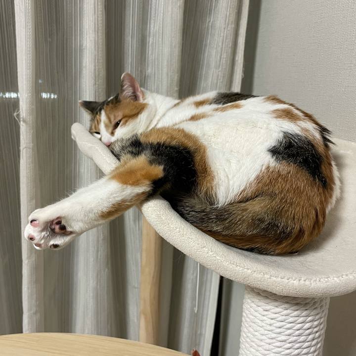 5eb758d2 8956 4b37 a470 06232b3cd68b 1613054806855