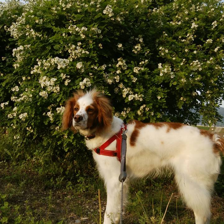 5eb7713a ce6c 4866 9f5d 2721d6cc36de 1525696146592