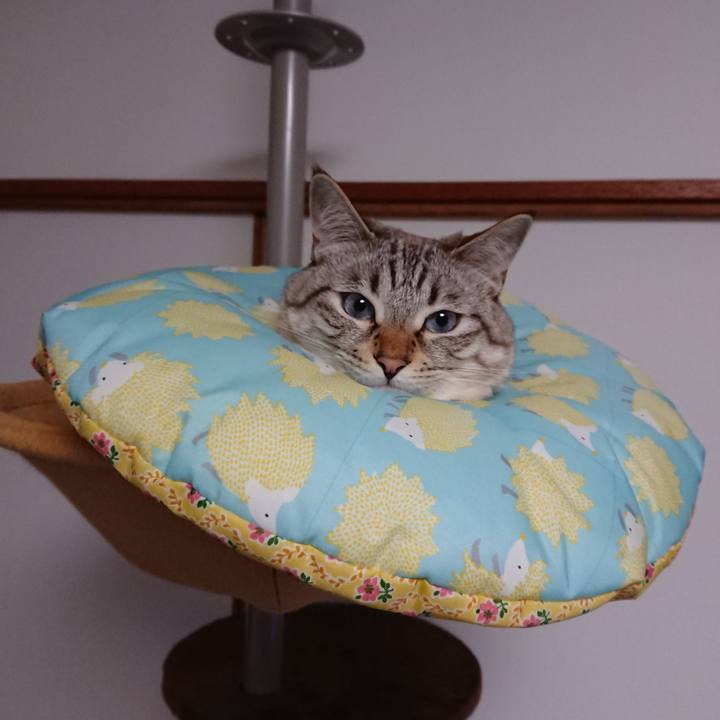 5eb798f1 8b70 45b3 9696 a4749fc41f2d 1562436649735