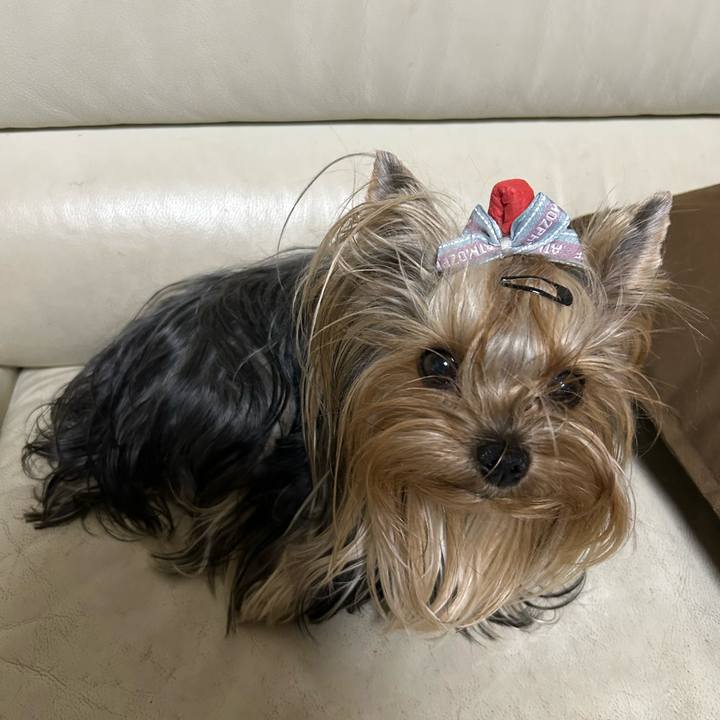 5eb79f94 9b82 4f30 9c52 82be943436c0 1698578500933