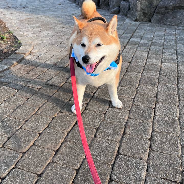 5eb7d1cc 8f92 4c15 8036 f3efc71d3383 1684403511773