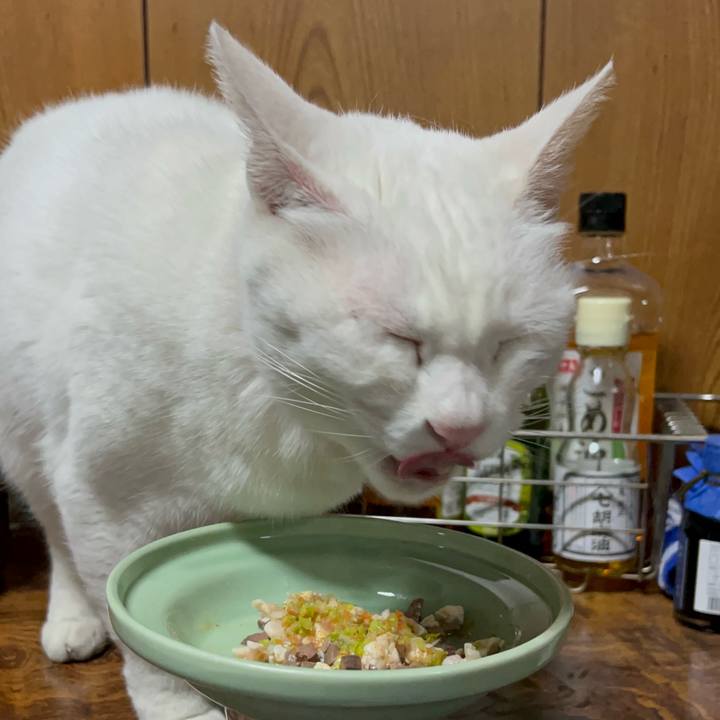 5eb7e646 9a4a 4166 8cbe 15bfe8305602 1762524458216