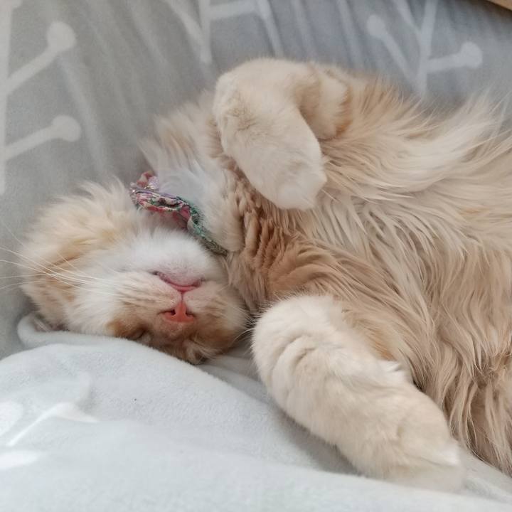 5eb7ef92 69f9 4986 9159 38aeee221fde 1641179537198