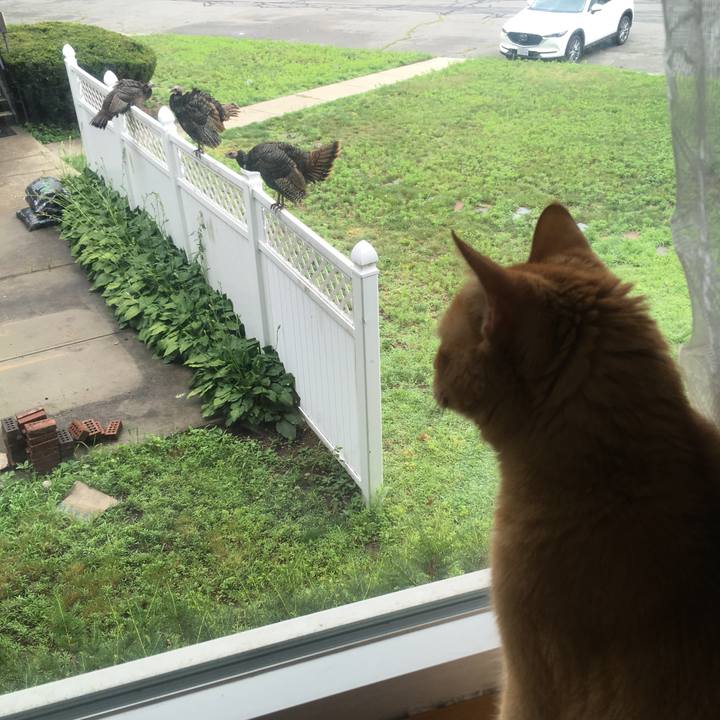 5eb82338 0f72 4eaf 8eea 961a1cb3f232 1633654496052