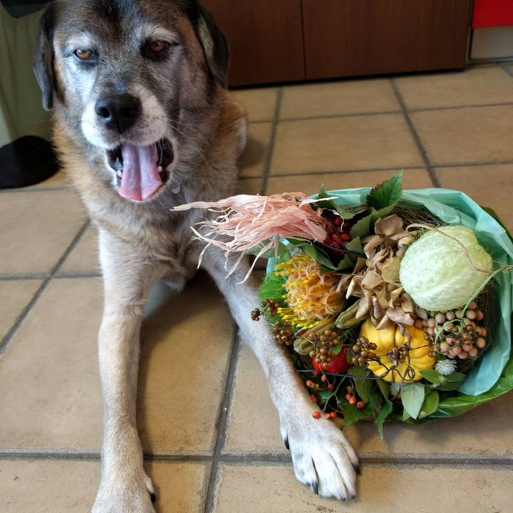 5eb82710 5033 466c 89ad ace43f86c600 1745572881679