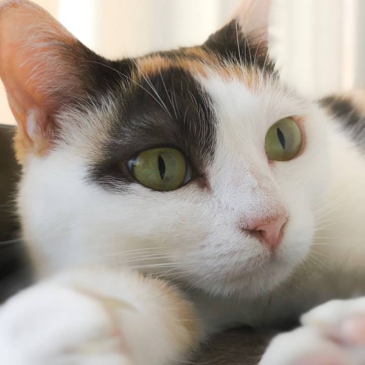 5eb87a6f 7742 4cb8 9663 8cf5b3cb31f2 1568426785991