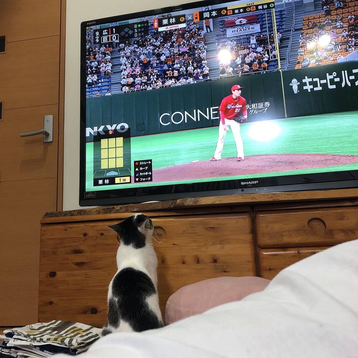 5eb87a91 4529 420d ae31 bbc86833cf47 1625052773076