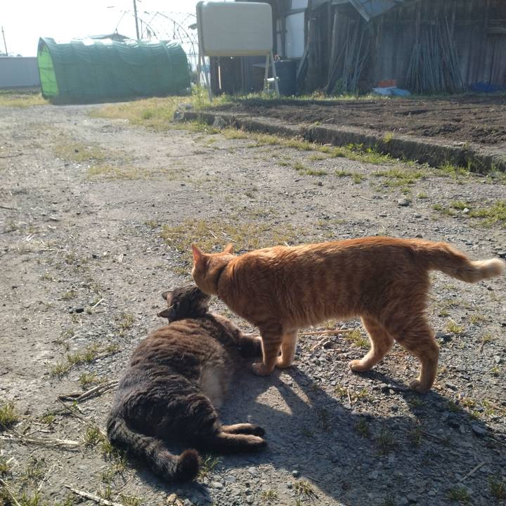 5eb8a5aa 2e6c 4643 8067 3a77f5bf9f53 1684363252956