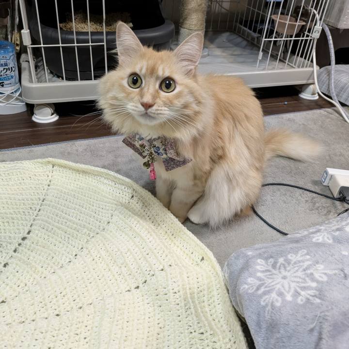 5eb8bc5f 544f 4ac5 9e22 addffc351198 1761831265452